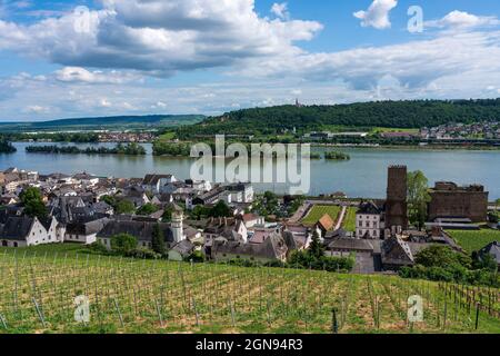 Panoramablick auf Rüdesheim am Rhein in Deutschland. Stockfoto