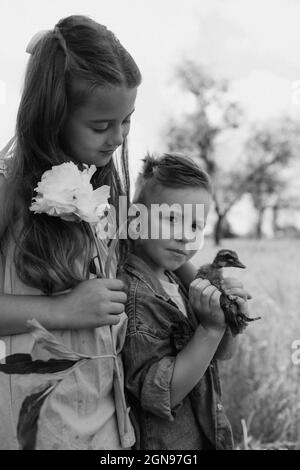 Kleinkind Junge und Mädchen spielen mit den Entchen auf dem Bauernhof Stockfoto