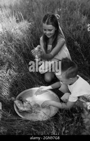 Kleinkind Junge und Mädchen spielen mit den Entchen auf dem Bauernhof Stockfoto