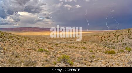 Ein Gewitter nähert sich dem Vermilion Cliffs National Monument Arizona. Blick vom House Rock Valley Overlook. Stockfoto