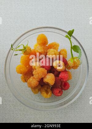 Frische rote und gelbe Himbeeren in einer runden transparenten Schüssel mischen Stockfoto