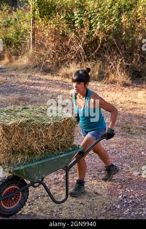 Bäuerin schiebt Schubkarre in der Farm Stockfoto