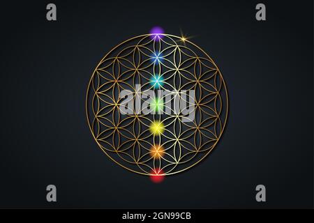 Blume des Lebens und die sieben Chakren. Heilige Geometrie Gold, Meditation über Set-Chakra-Punkte. Farbige Chakra-Lichter. Yoga, Zen, Buddhismus, Erholung, Logo Stock Vektor