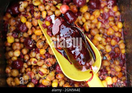 Köder auf einem großen Karpfen mit einem Netz und einer baat auf einem großen See. Stockfoto