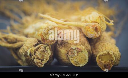 Trockene Ginseng-Wurzel auf der schwarzen Platte Stockfoto