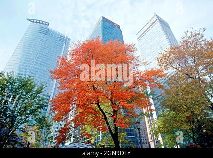 Kanada. Quebec. Montreal. Dorchester Square. Blick auf Wolkenkratzer. Stockfoto