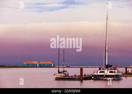 Catamaran dockte in Steveston an, wobei zwei Schiffe mit Holzhackschnitzeln im Fraser River, Steveston, British Columbia, Kanada, geschleppt wurden Stockfoto