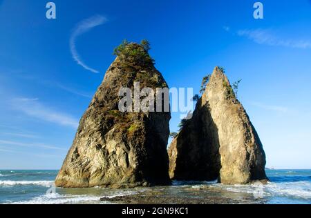 Split Rock, Olympic National Park, Washington Stockfoto