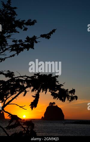 Seastack Dusk, La Push, Quileute Indian Reservation, Washington Stockfoto