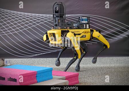 Gelber Roboterhund, geeignet für industrielle Detektion und Fernbetrieb. Mini Robot Guard Spot. Turin, Italien - September 2021 Stockfoto