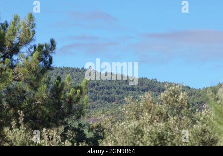 Feuerwachturm im Wald der Sierra Fria. Valencia de Alcantara, Caceres, Extremadura, Spanien Stockfoto