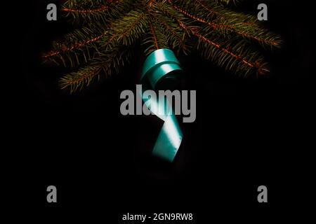 Nahaufnahme türkisfarbenes Band auf Weihnachtsbaumform aus verschneiten Tannenzweigen mit verschiedenen Blüten. Zusammensetzung, flache Lage, Ansicht von oben Winterfichte Stockfoto