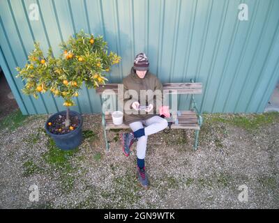 Männlicher Drohnenfahrer, der auf einem Banksitz sitzt und einen Drohnencontroller mit Obstbaum- und Metallschuppen-Hintergrund in Castlemaine, Victoria, Australien, verwendet. Stockfoto