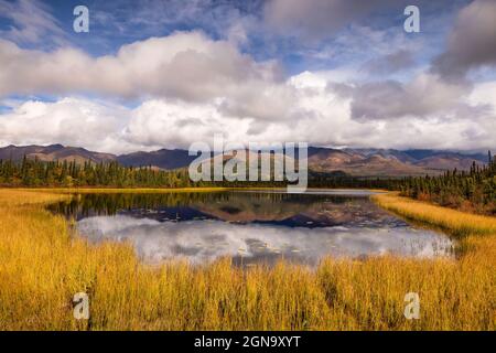 Herbstfarben umgeben diesen Teich in der Wrangell-St. Elias National Park in Südzentralalaska. Stockfoto