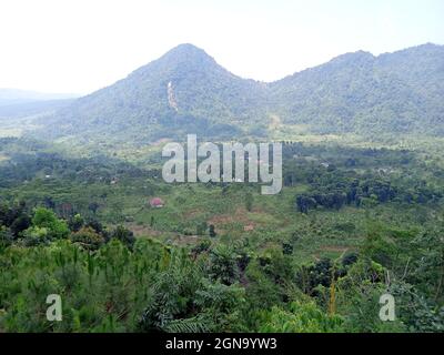 Mountain Pancar, West Java Indonesia Stockfoto