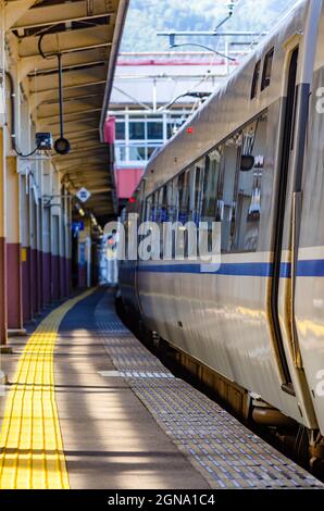 Japanische Eisenbahn, Hakutaka White Wing, West Japan Railway, Tokio, Kanazawa, Zug, Zentraljapan Stockfoto