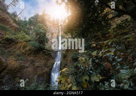 Zauberhaftes und wunderschönes Touristenziel für den Wasserfall Multnomah Falls im üppigen Wald der Columbia River Gorge in Oregon Stockfoto