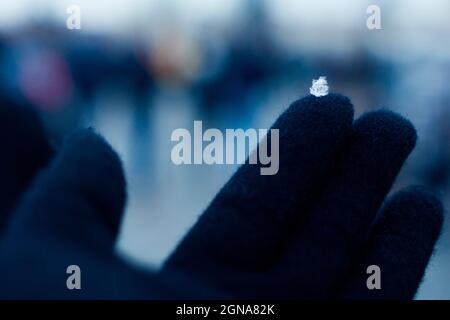 Nahaufnahme von Makro-Single-Schneeflocke, die mit schwarzen Handschuhen auf der Hand landet. Schnee Stockfoto