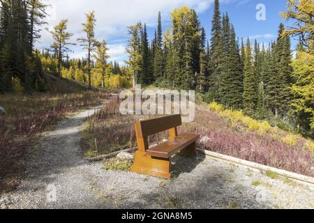 Wooden Park Rest Bench und Autumn Foliage Colors malerische Landschaft auf einem Wanderweg im Banff National Park, Canadian Rocky Mountains Stockfoto