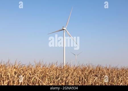 Der Windpark MidaAmerican Energy, auf dem Vestas-Windenergieanlagen in New Sharon, Iowa, eingesetzt werden Stockfoto