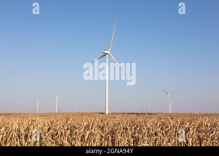 Der Windpark MidaAmerican Energy, auf dem Vestas-Windenergieanlagen in New Sharon, Iowa, eingesetzt werden Stockfoto