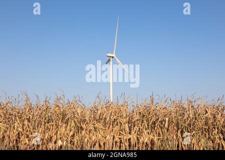 Der Windpark MidaAmerican Energy, auf dem Vestas-Windenergieanlagen in New Sharon, Iowa, eingesetzt werden Stockfoto