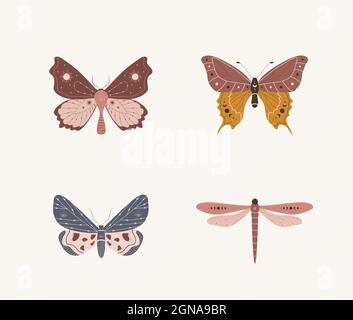 Boho Schmetterling Kollektion. Set von Insekten mit Himmelselementen. Alchemie esoterische Symbole. Abstrakte handgezeichnete Motten. Vektordarstellung in Stock Vektor