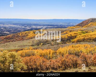 Blick über die Hänge des Aquarius Plateaus, das von verschiedenen Espenkolonien bedeckt ist, des Dixie National Forest, Utah, USA. In einer Espenkolonie die Beuge Stockfoto