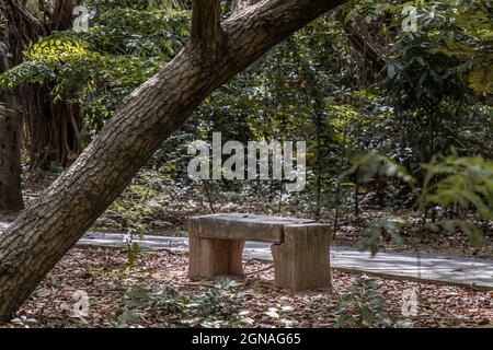 Alte Holzbänke für Entspannung im Park. Konzept der Ruhe. Stockfoto