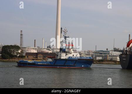 Schlepper-Fairplay 24 am Fluss Oude Maas im Botlek Hafen in Rotterdam Stockfoto