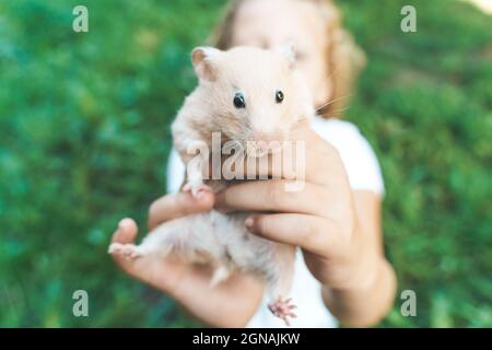 Mädchen mit einem Hamster in der Natur. Fröhliche glücklich Kind Mädchen mit Haustier Hamster spielt im Garten des Hauses im Sommer. Liebe, Fürsorge, Zärtlichkeit Konzept. Hochwertige Fotos Stockfoto