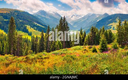 Farbenfroher Sommermorgen im Tal beim Speicher Durlassboden. Blick auf die Richterspitze in den österreichischen Alpen, Schwaz in t Stockfoto