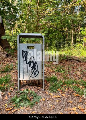 In einem deutschen Wald ist eine Mülltonne mit Graffiti verschmiert Stockfoto