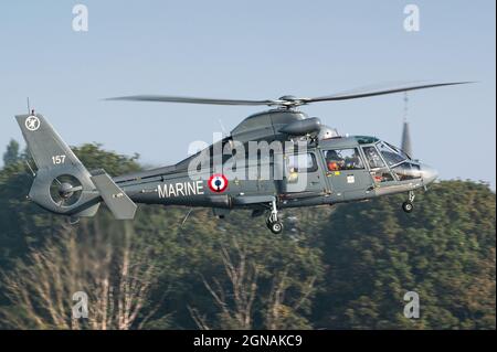 Ein Eurocopter AS365 Dauphin Such- und Rettungshubschrauber (SAR) aus der Flottille 35F der französischen Marine. Stockfoto