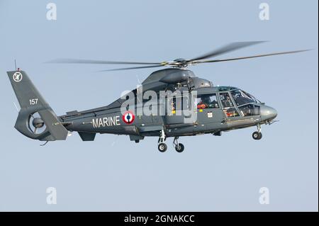 Ein Eurocopter AS365 Dauphin Such- und Rettungshubschrauber (SAR) aus der Flottille 35F der französischen Marine. Stockfoto