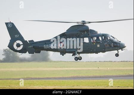 Ein Eurocopter AS365 Dauphin Such- und Rettungshubschrauber (SAR) aus der Flottille 35F der französischen Marine. Stockfoto