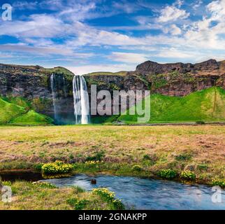 Malerischer Blick auf den Seljalandfoss Wasserfall am Morgen auf dem Seljalandsa Fluss. Bunte Sommerszene in Island, Europa. Künstlerischer Stil nachbearbeitet phot Stockfoto