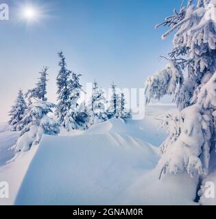 Sonnige Morgenszene im Bergwald nach starkem Schneefall. Neblige Winterlandschaft im verschneiten Wald, Happy New Year Celebration Konzept. Artisti Stockfoto