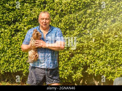 Reifer Mann mit Yorkshire Terrier Hund unter Spritzwasser an heißen Tag im Garten. Stockfoto