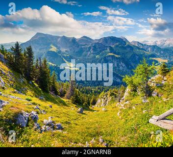 Blick von der Bergbahn über den Königsee auf den Schneibsteinkamm. Farbenfroher Sommermorgen an der Grenze zwischen Deutschland und den österreichischen Alpen. Be Stockfoto