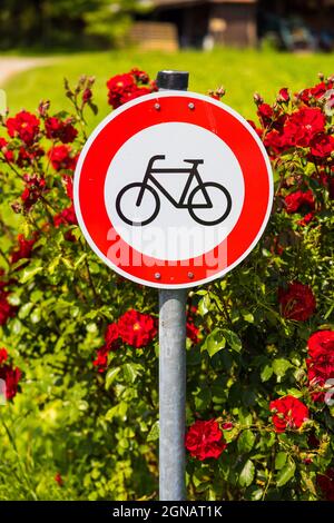 Schild mit Fahrradverbot im Park vor einem Rosenbusch Stockfoto