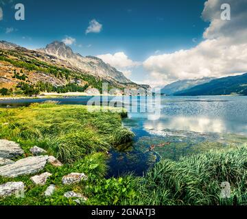 Herrlicher Blick auf den Sils See im Sommer. Malerische Outdoor-Szene in den Schweizer Alpen, Provinz Sondrio Lombardei, Italien, Europa. Grüner Filter getönt. Stockfoto