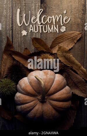 Herbstkarte zur Begrüßung. Kürbis und einige Blätter auf altem Holzboden Stockfoto