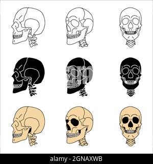 Set of skulls in different styles. Stock Vektor