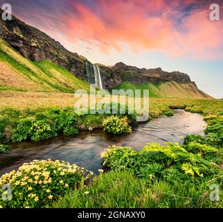 Malerischer Blick auf den Seljalandfoss Wasserfall am Morgen auf dem Seljalandsa Fluss. Farbenfrohe Sommersonnenaufgänge an der Südküste Islands, Europa. Künstlerischer Stil po Stockfoto