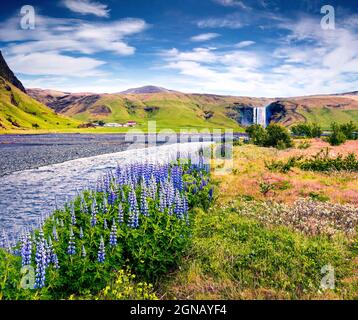 Toller Sommerblick auf den Skogafoss Wasserfall am Skoga Fluss. Bunte Sommerszene in Island, Europa. Künstlerisches Foto im nachbearbeiteten Stil. Stockfoto