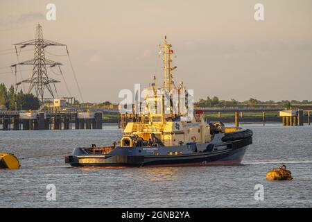 Der Schlepper Svitzer Ganges fuhr in der Themse von Gravesend Stockfoto