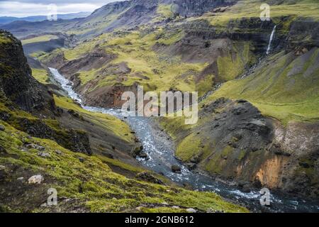 Hochland von Island. Fluss Fossa Strom im Landmannalaugar Canyon Tal. Hügel und Klippen sind von grünem Moos bedeckt Stockfoto