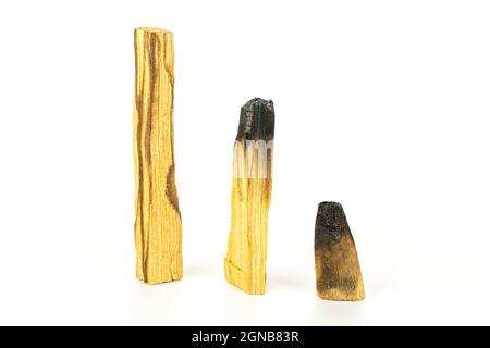 Gruppe von drei ganzen verbrannten palo santo Stick isoliert auf weißem Hintergrund Stockfoto