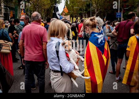 24. September 2021, Barcelona, Katalonien, Spanien: Frau hält einen Hund, während sich Anhänger der Unabhängigkeit neben dem italienischen Konsulat in Barcelona versammeln, um gegen die Inhaftierung des ehemaligen Präsidenten von Catallan Carles Puigdemont in Italien zu protestieren. Quelle: Jordi Boixareu/Alamy Live News Stockfoto